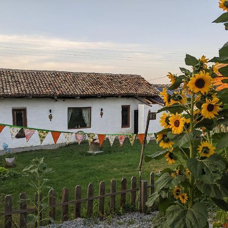 Serendipity Cottage Palamartsa Palamarza Zewnętrze zdjęcie