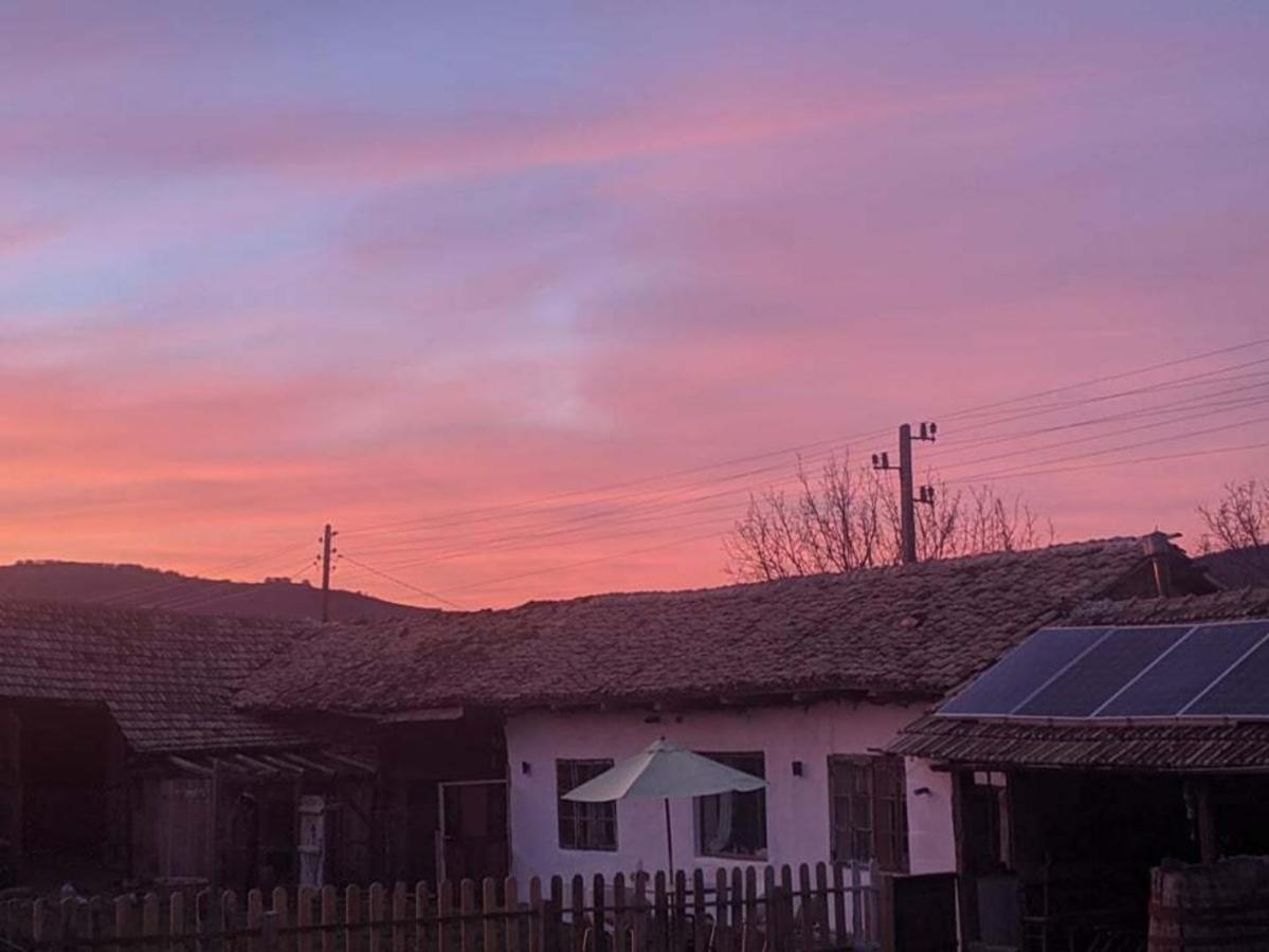 Serendipity Cottage Palamartsa Palamarza Zewnętrze zdjęcie