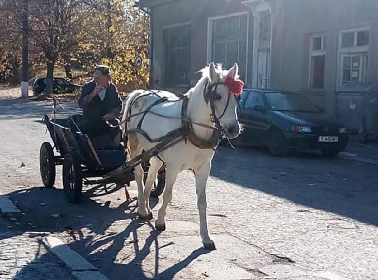 Serendipity Cottage Palamartsa Palamarza Zewnętrze zdjęcie