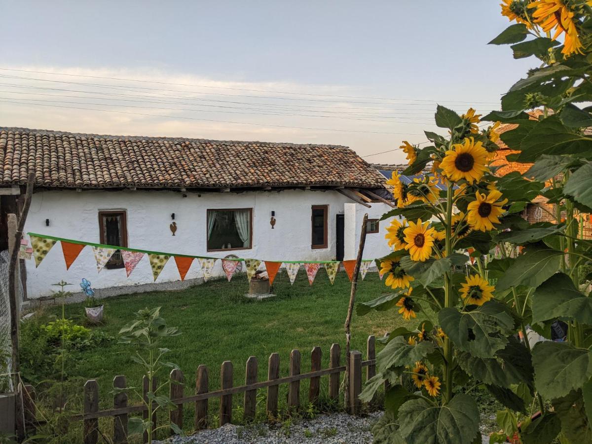 Serendipity Cottage Palamartsa Palamarza Zewnętrze zdjęcie